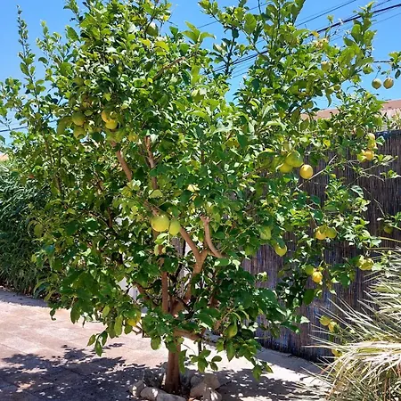 In Meeresnaehe, Privater Pool, Garten Und Kostenlose Fahrraeder * Denia